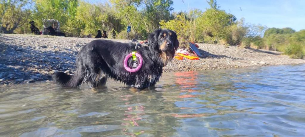 Au club de sauvetage A l'Eau Va