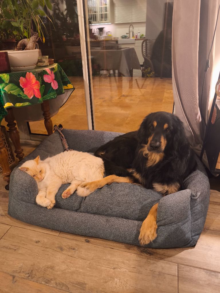 A la maison avec mes copains